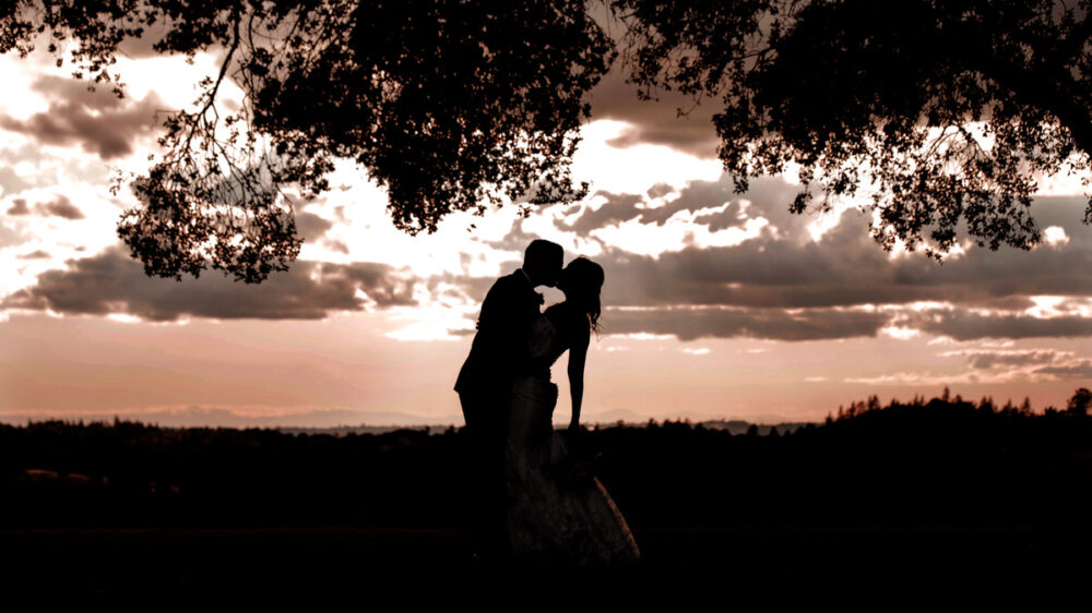 fun wedding silhouette